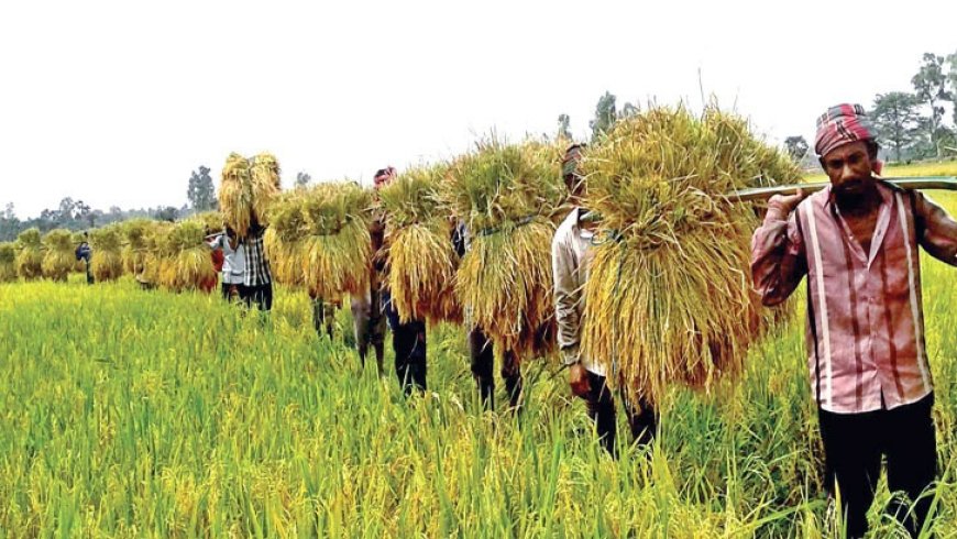 বেদনাভিসার